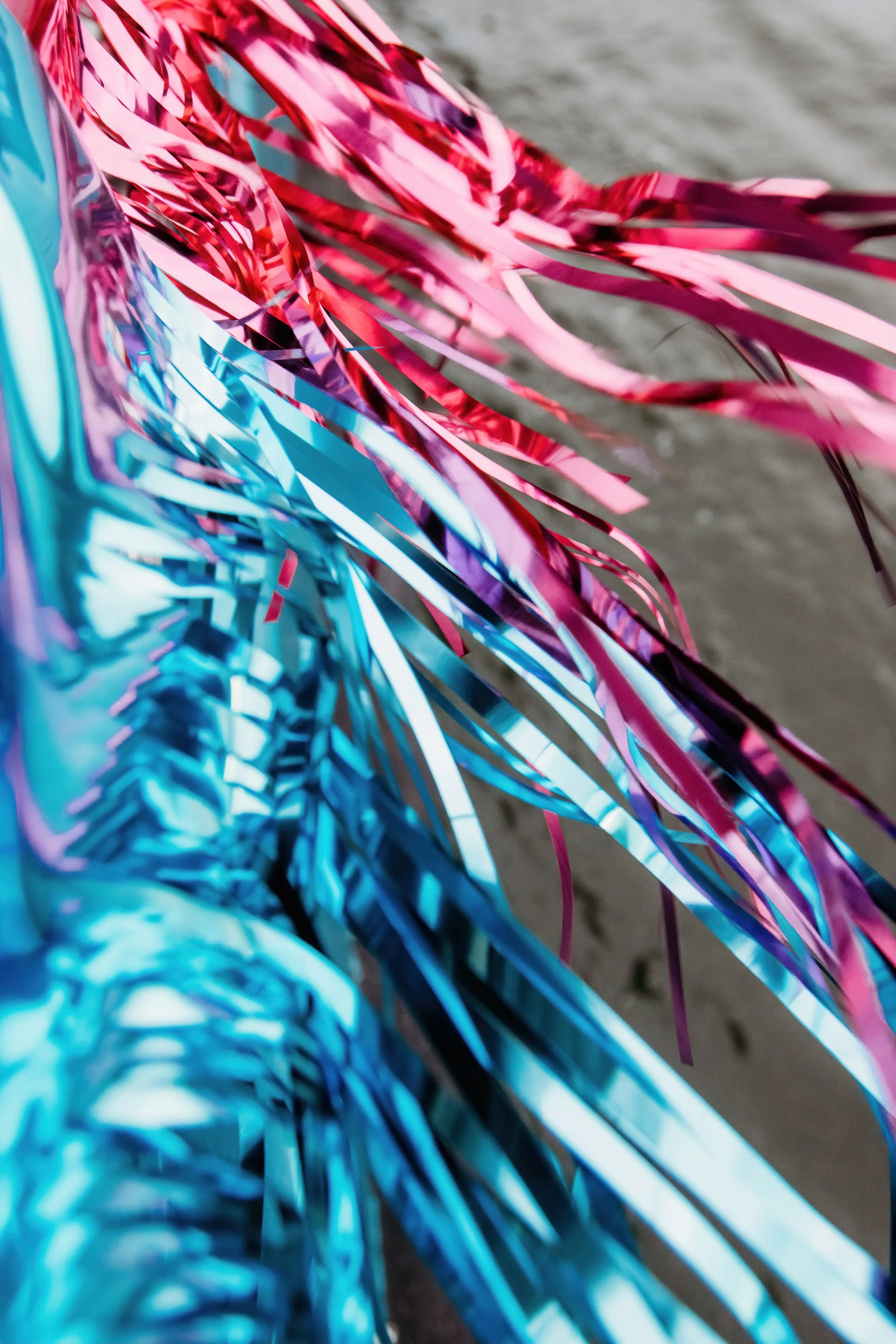  Photo by  Beth Barbis  