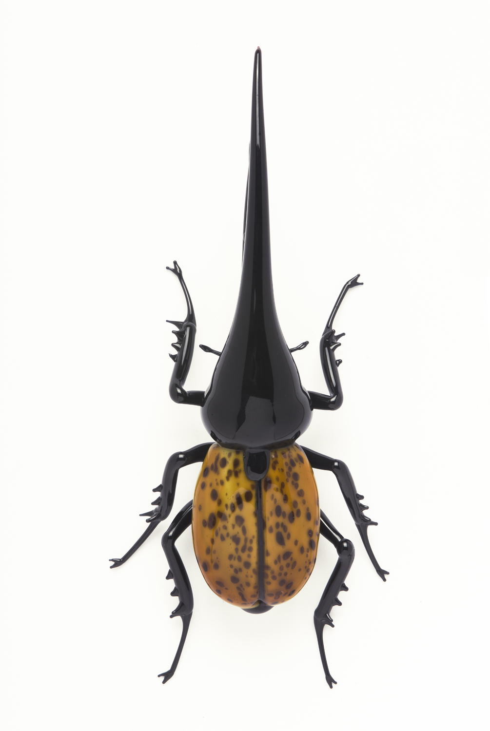 Vittorio Costantini, Sub Family: Dynastinae, "Dynastes Hercules" (2005, soda-lime glass, 4 5/8 x 2 1/16 x 1 1/8 inches), VC.27