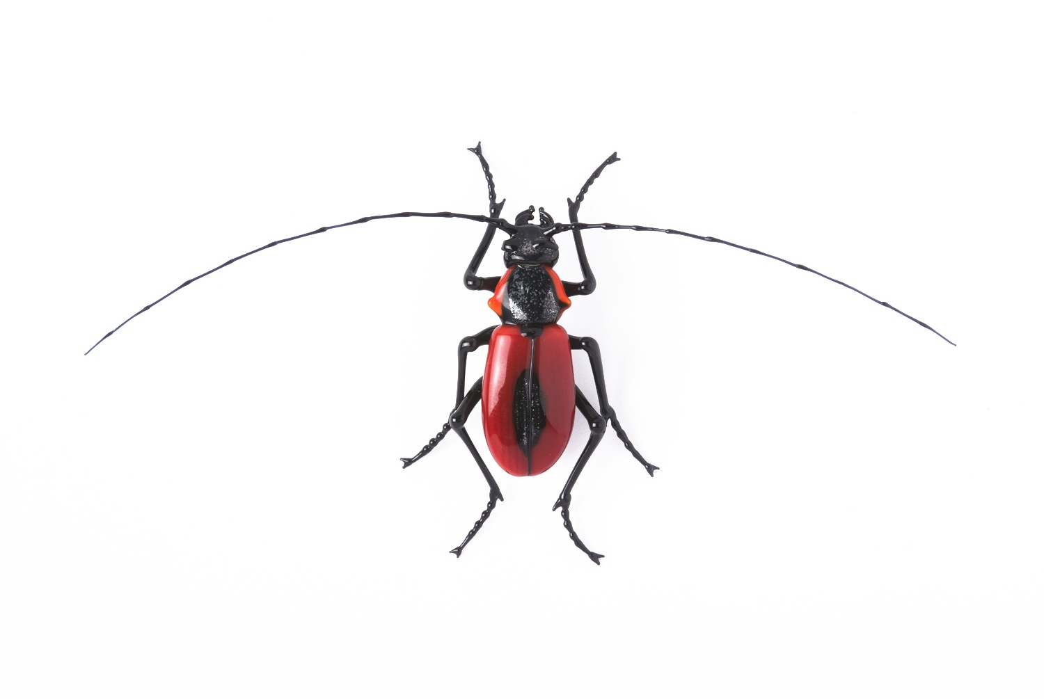  Vittorio Costantini,&nbsp; Family: Cerambycidae "Purpuricenus Kaehleri"&nbsp; (2005, soda-lime glass, 2 5/16 x 4 11/16 x 5/8 inches), VC.34 