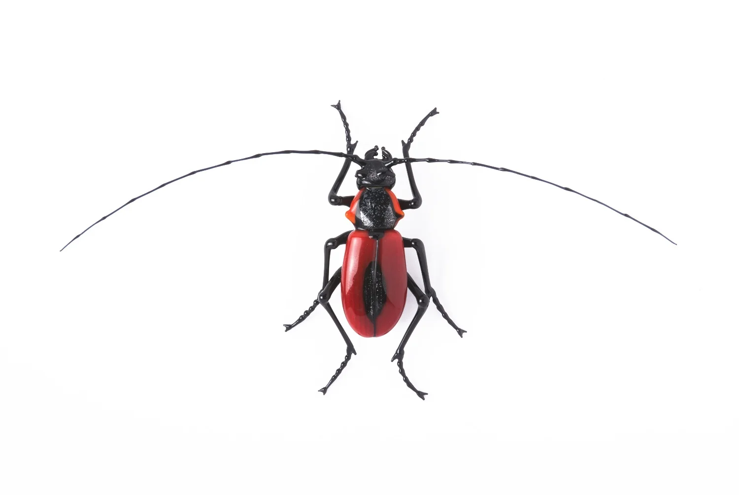 Vittorio Costantini, Family: Cerambycidae "Purpuricenus Kaehleri" (2005, soda-lime glass, 2 5/16 x 4 11/16 x 5/8 inches), VC.34