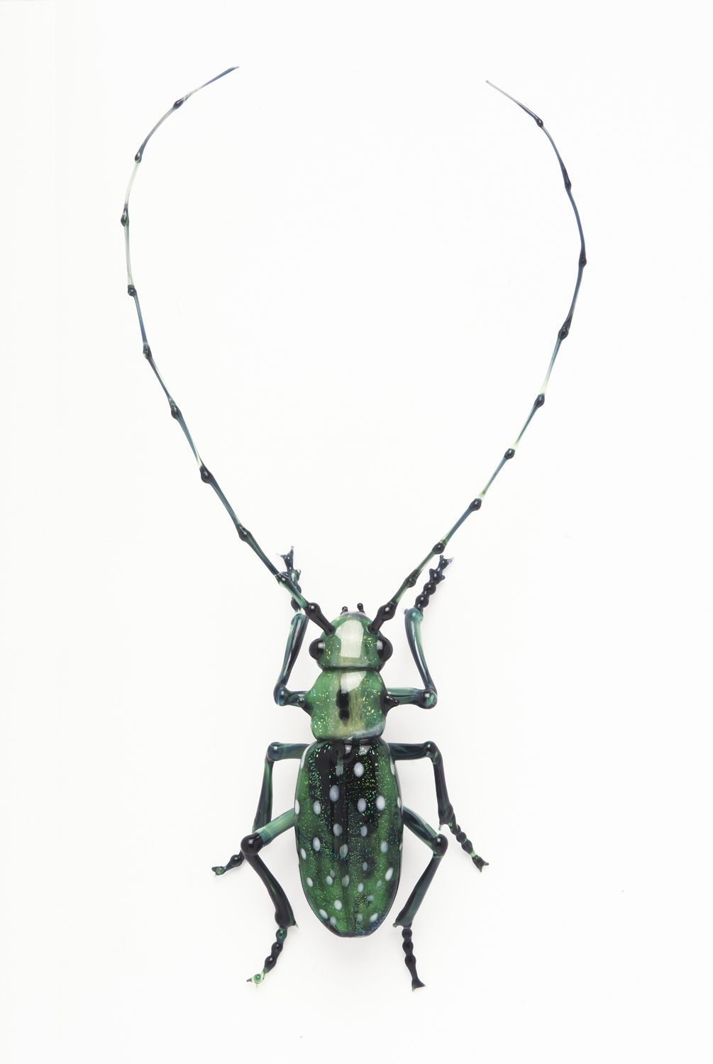  Vittorio Costantini,&nbsp; Cerambycidae Lamiinae Calloplophora solli&nbsp; (2005, soda-lime glass, 4 3/16 x 2 1/16 x 5/8 inches), VC.66 