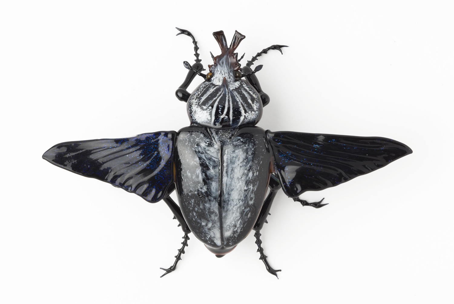 Vittorio Costantini, Goliath Beetle with open wings (2005, soda-lime glass, 3 1/4 x 4 5/8 x 1 1/8 inches), VC.69