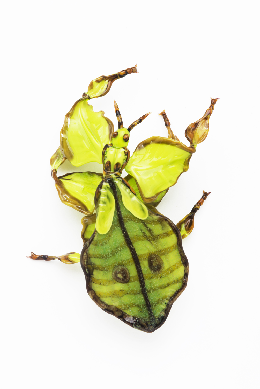  Vittorio Costantini,&nbsp; Phyllium giganteum, "Leaf Beetle"&nbsp; (2006, soda-lime glass, 3 3/4 x 2 7/8 x 7/8 inches), VC.71 