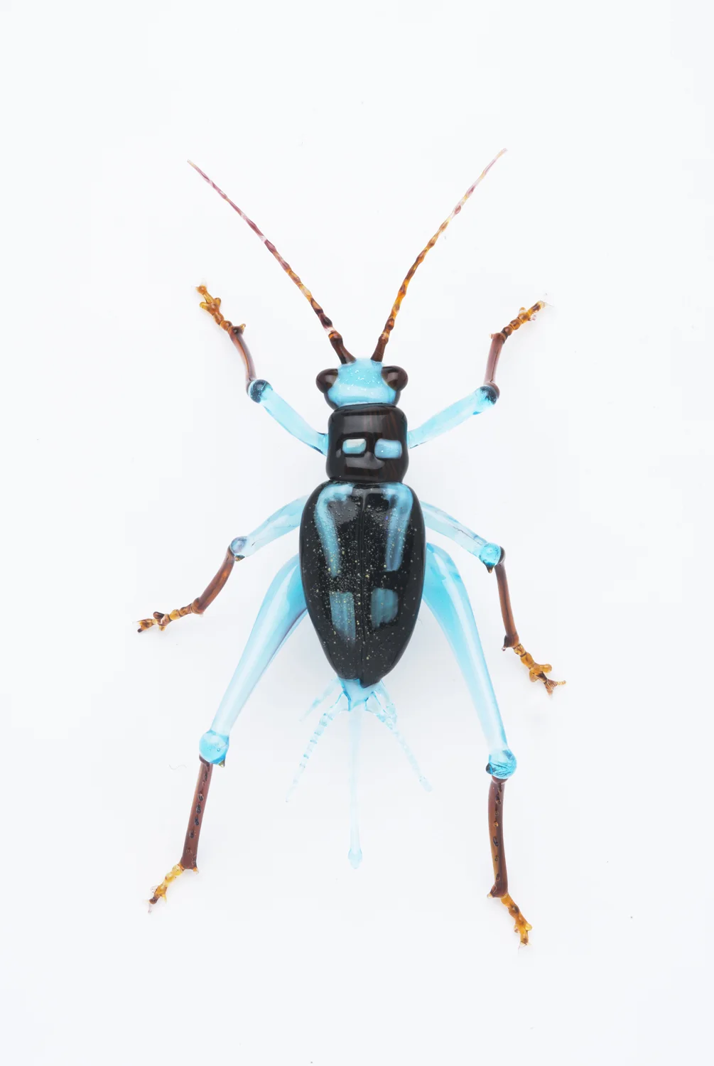 Vittorio Costantini, Rhicnogryllus lepidus (2006, soda-lime glass, 3 x 1 5/8 x 5/8 inches), VC.75