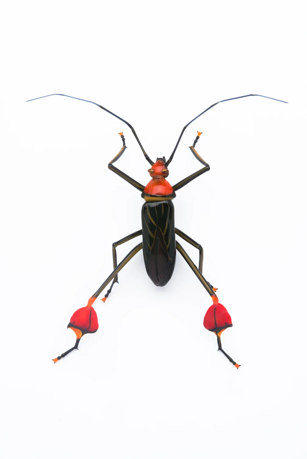 Vittorio Costantini, Anisocelus flavolineata, "Leaf-footed Bug" (2006, soda-lime glass, 4 x 4 x 1 inches), VC.87