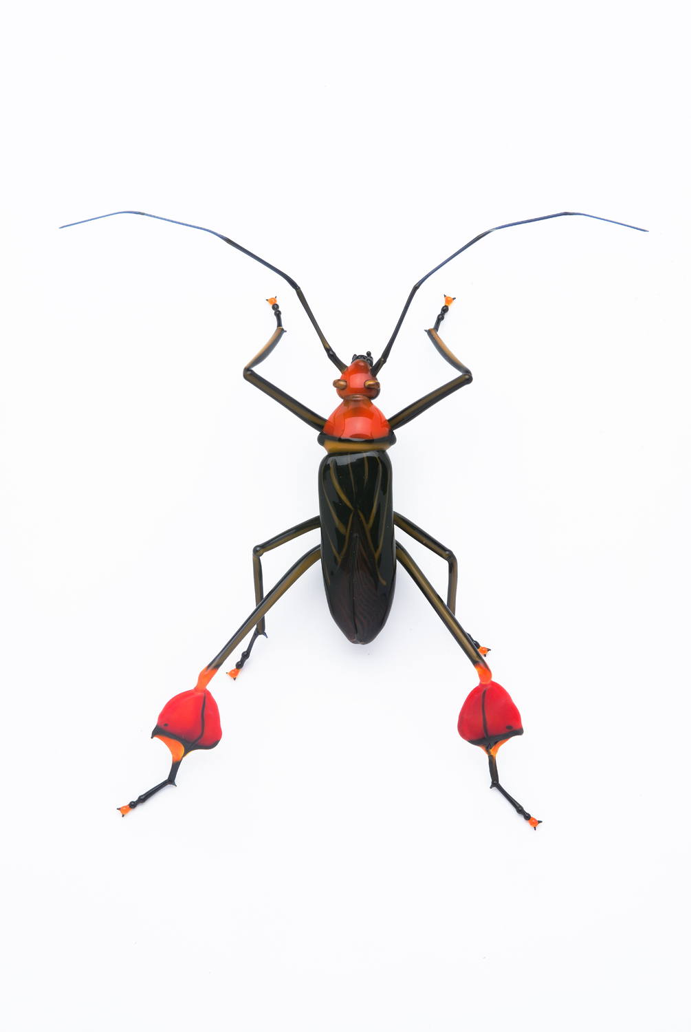 Vittorio Costantini, Anisocelus flavolineata, "Leaf-footed Bug" (2006, soda-lime glass, 4 x 4 x 1 inches), VC.87