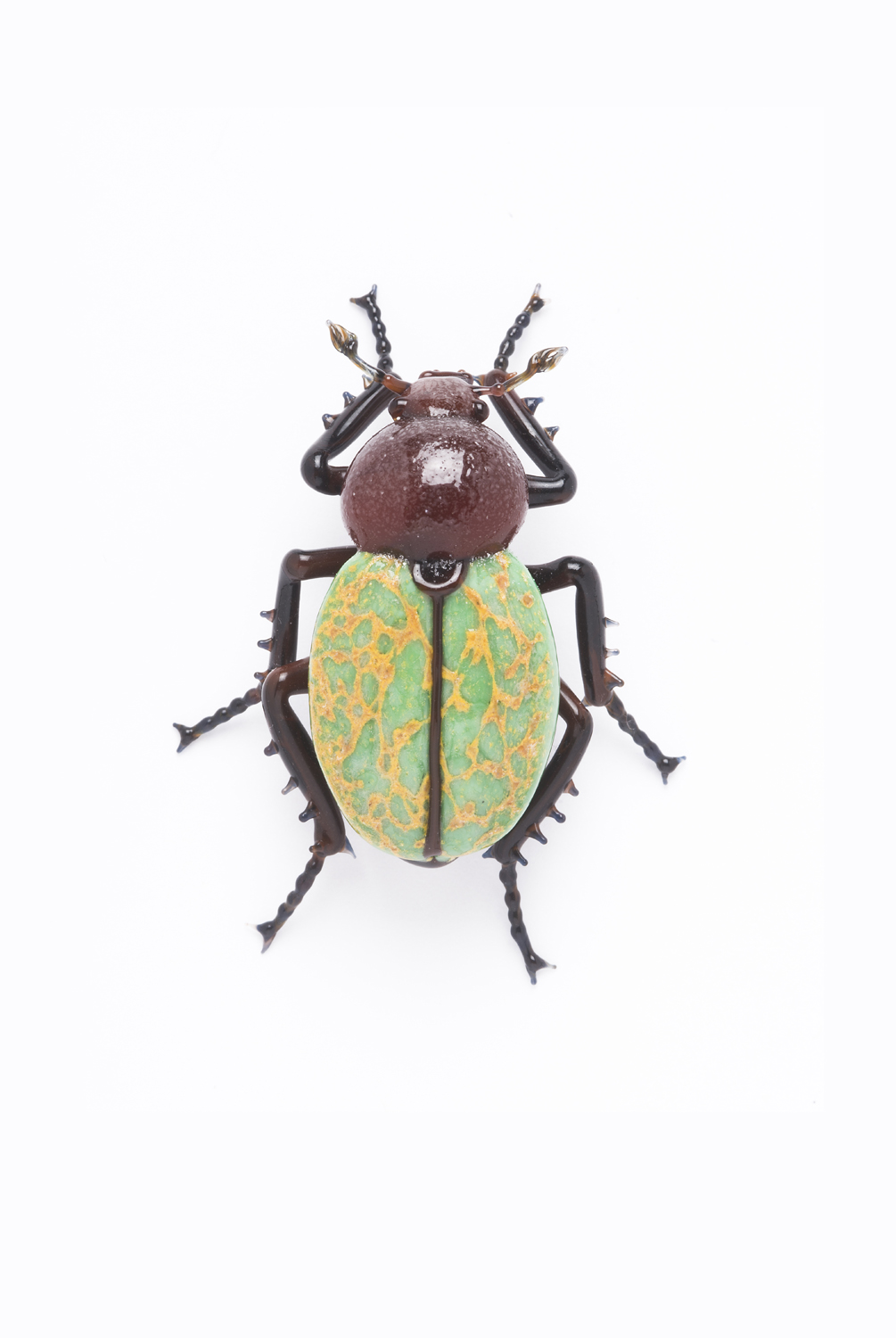 Vittorio Costantini, Trichogomphus lunicollis (2007, soda-lime glass, 1 7/8 x 1 3/8 x 5/8 inches), VC.117
