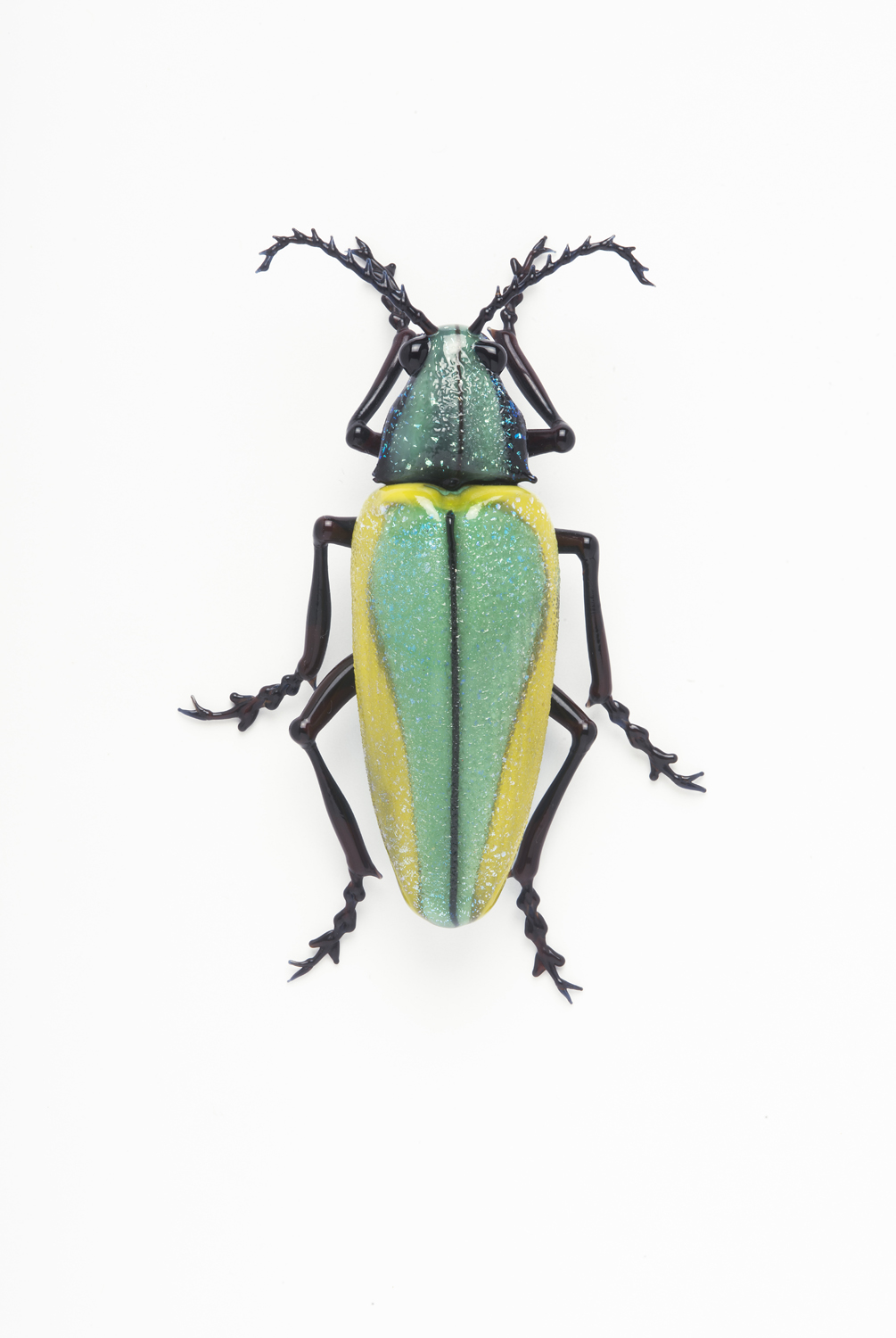 Vittorio Costantini, Family: Scarbaeidae (2007, soda-lime glass, 3 1/8 x 2 1/4 x 3/4 inches), VC.121