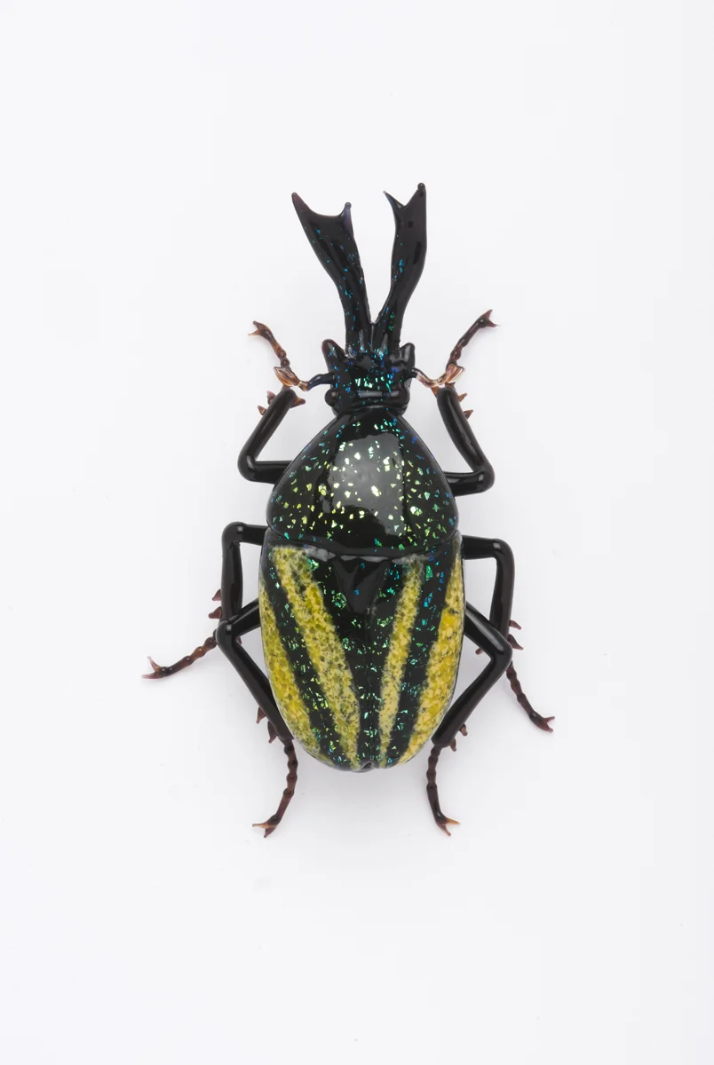 Vittorio Costantini, Eudicella Scarbaeidae (2009, soda-lime glass, 2 5/8 inches), VC.172