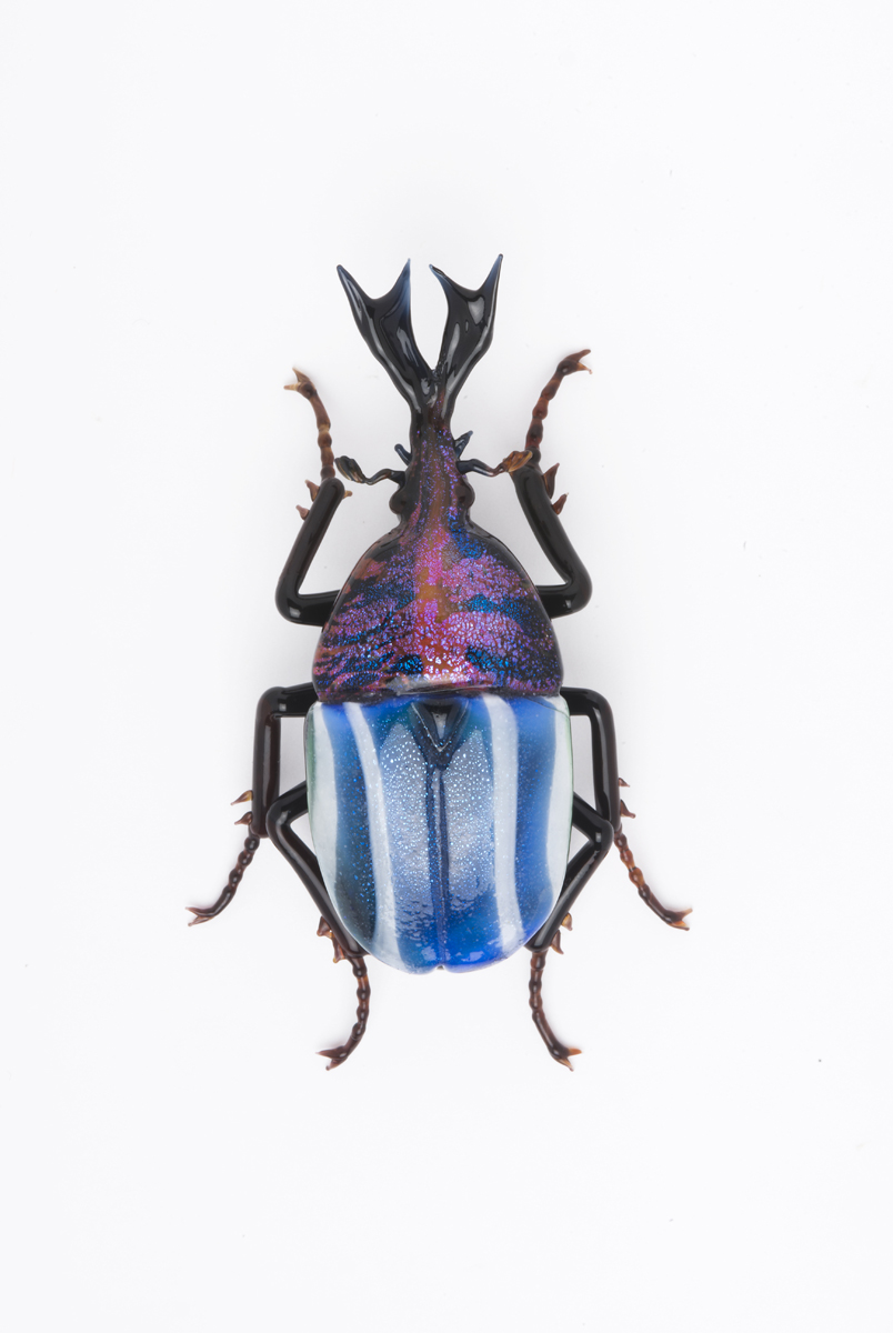  Vittorio Costantini,&nbsp; Eudicella Scarabaeidae&nbsp; (2009, soda-lime glass, 2 5/8 inches), VC.173 