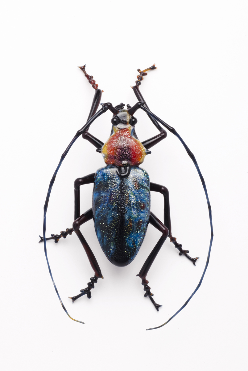  Vittorio Costantini,&nbsp; Cerambycidae&nbsp; (2009, soda-lime glass, 3 inches), VC.205 