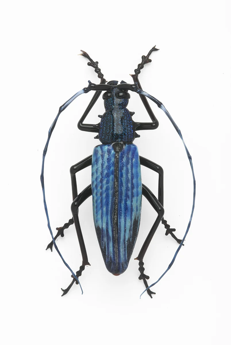  Vittorio Costantini,&nbsp; Cerambycidae&nbsp; (2009, soda-lime glass, 3 1/8 inches), VC.202 