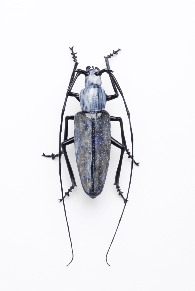 Vittorio Costantini, Batocera Kiblery (2009, soda-lime glass, 3 5/8 inches), VC.229
