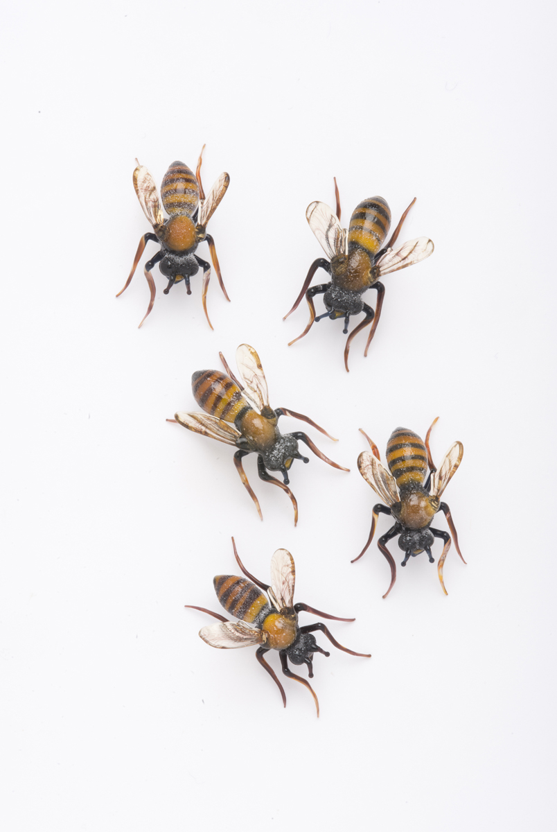 Vittorio Costantini, Lot of five bees (2009, soda-lime glass, 1 inches), VC.246.1-.5