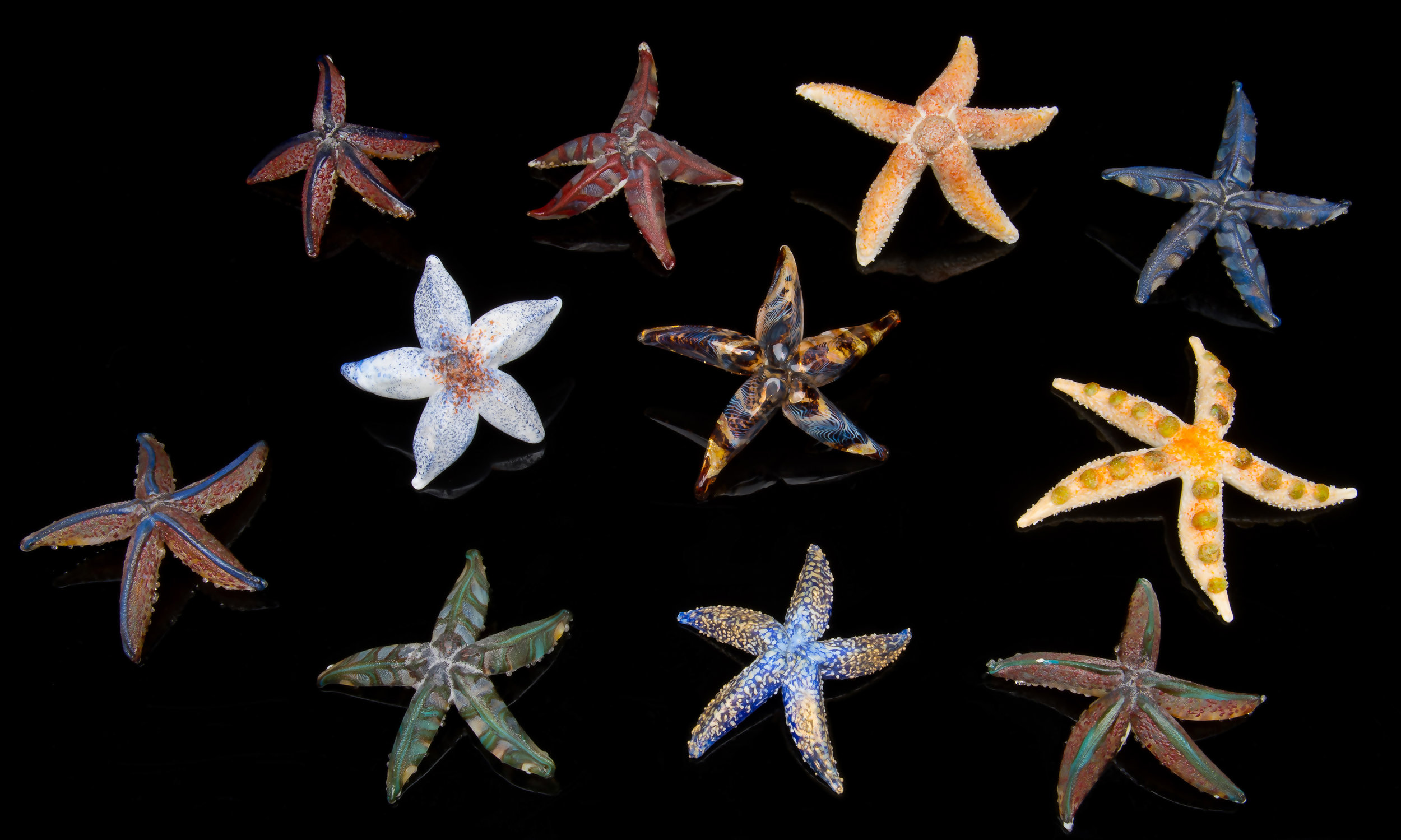  Vittorio Costantini,  Lot of eleven starfish  (glass, size variable), VC.256 