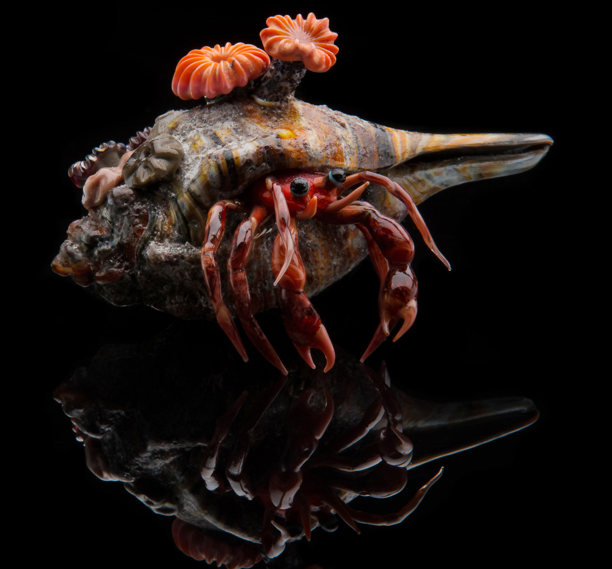Vittorio Costantini, Hermit Crab (glass, 5 inches), VC.254