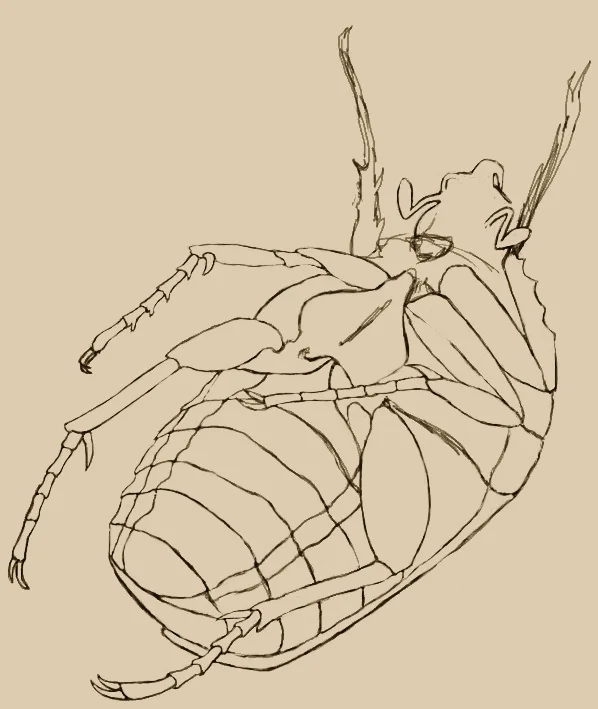 bug15.jpg