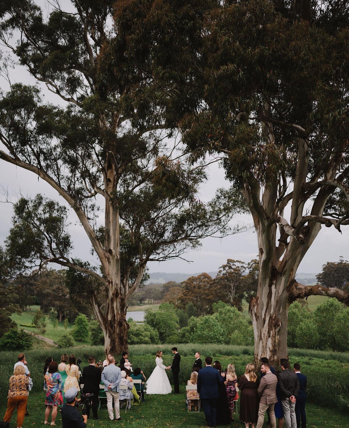 aron and i were totally prepared to do all this in the pouring rain but at the 11th hour the deluge stopped and we managed to hold the ceremony, take the photos and get inside before it kicked off again and we ate dinner to a lightning display. 

in 