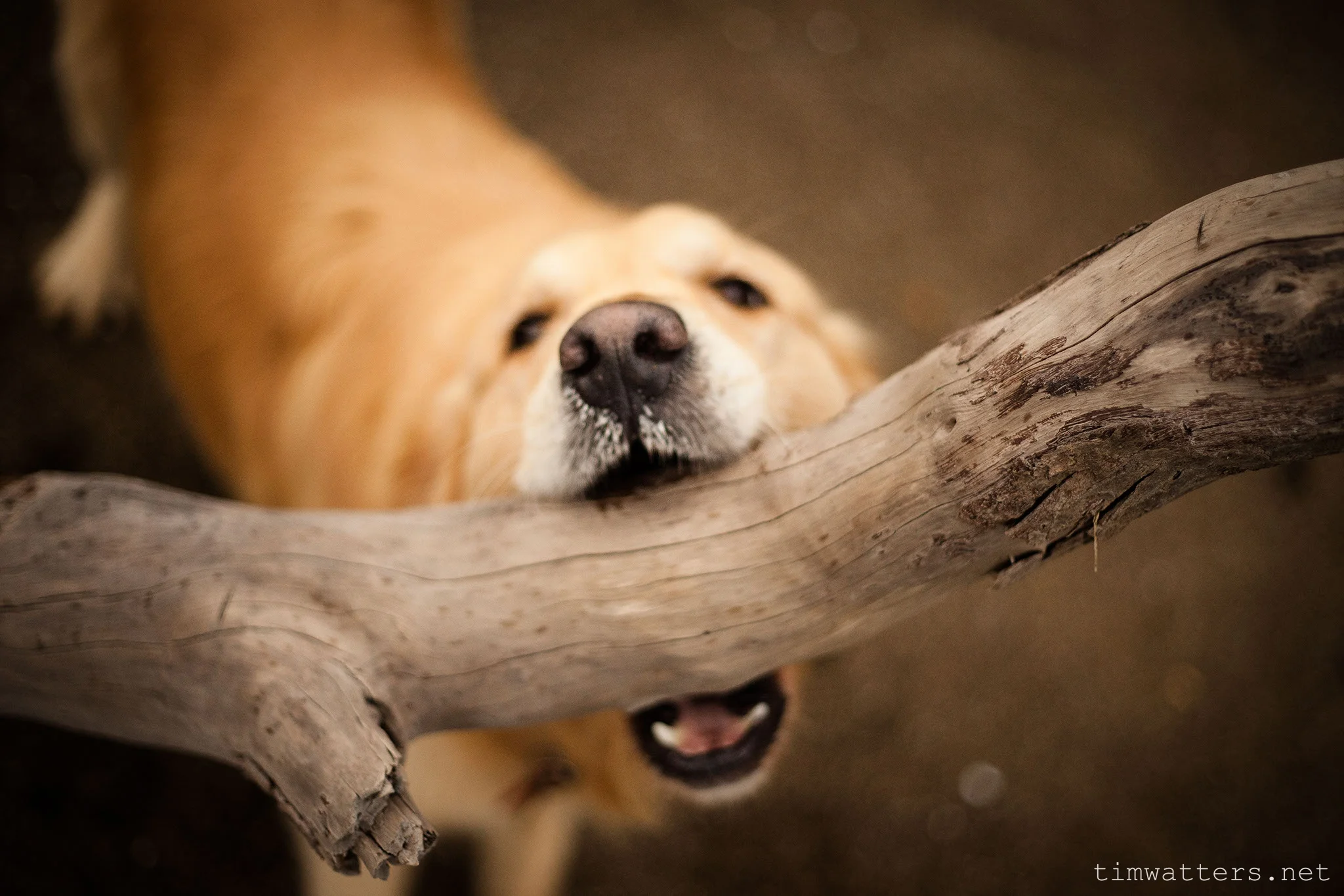20130919_TJW_WalkTrip_10.jpg