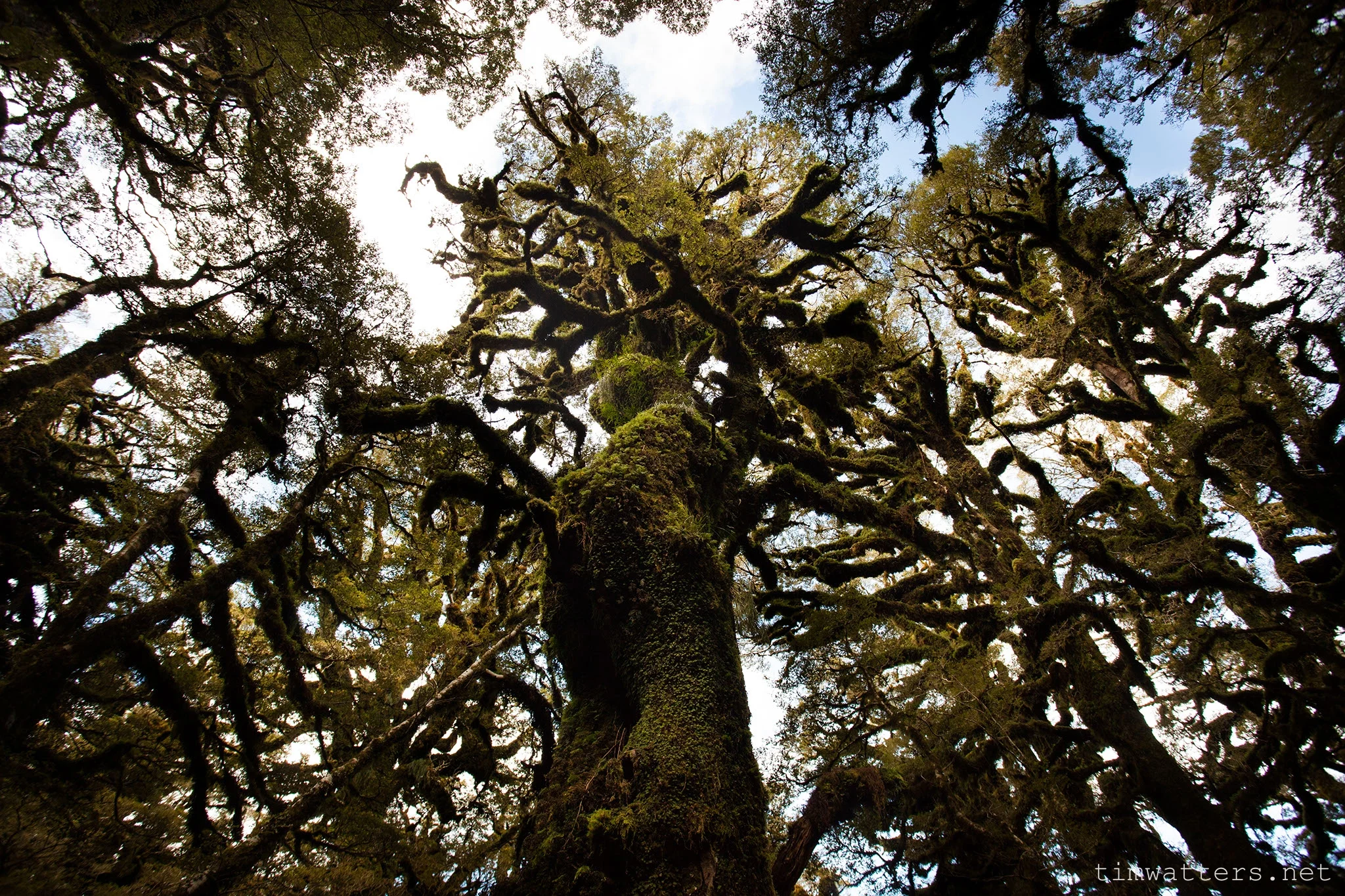 20130928_TJW_WalkTrip_27.jpg