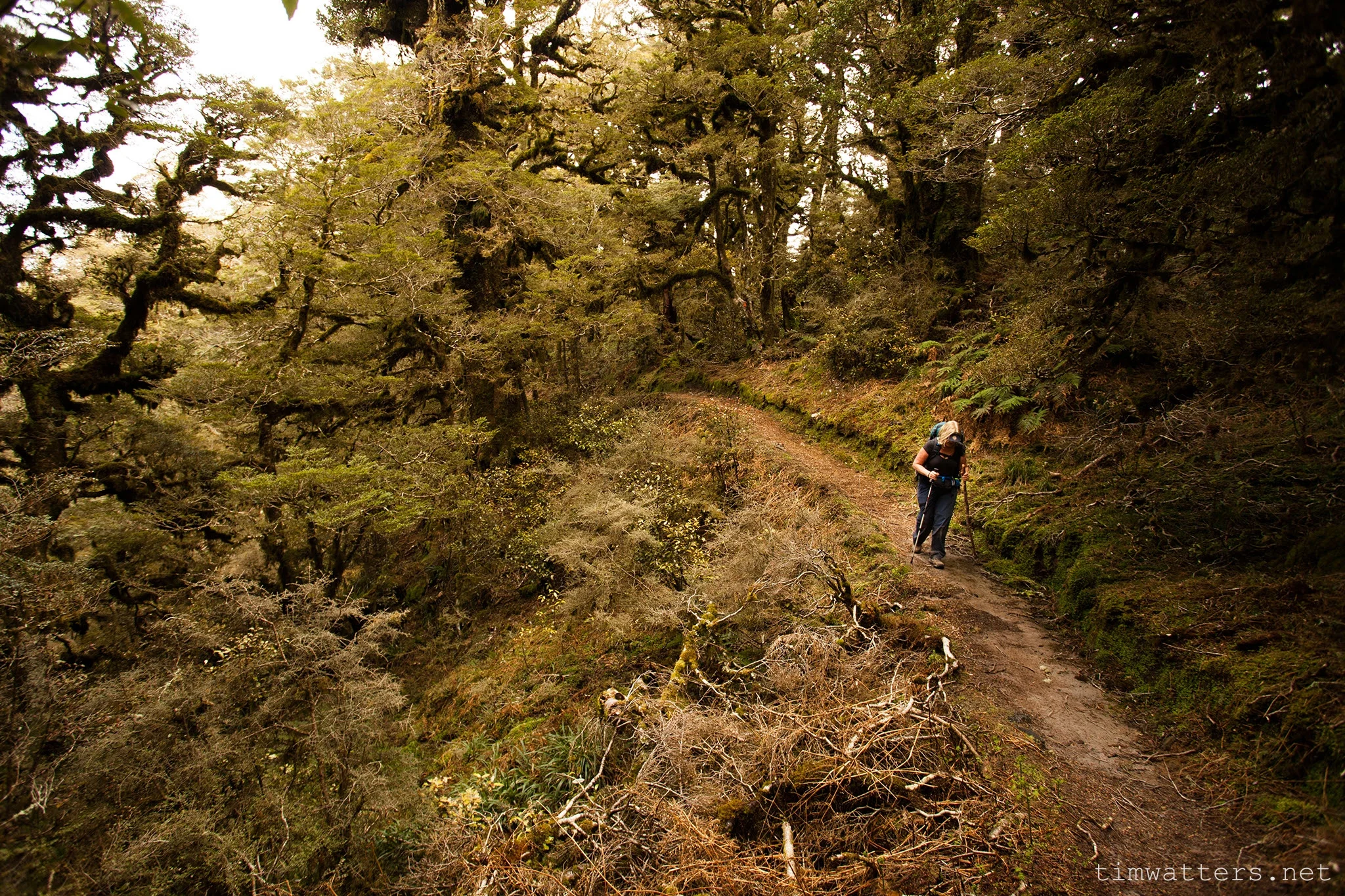 20130928_TJW_WalkTrip_26.jpg
