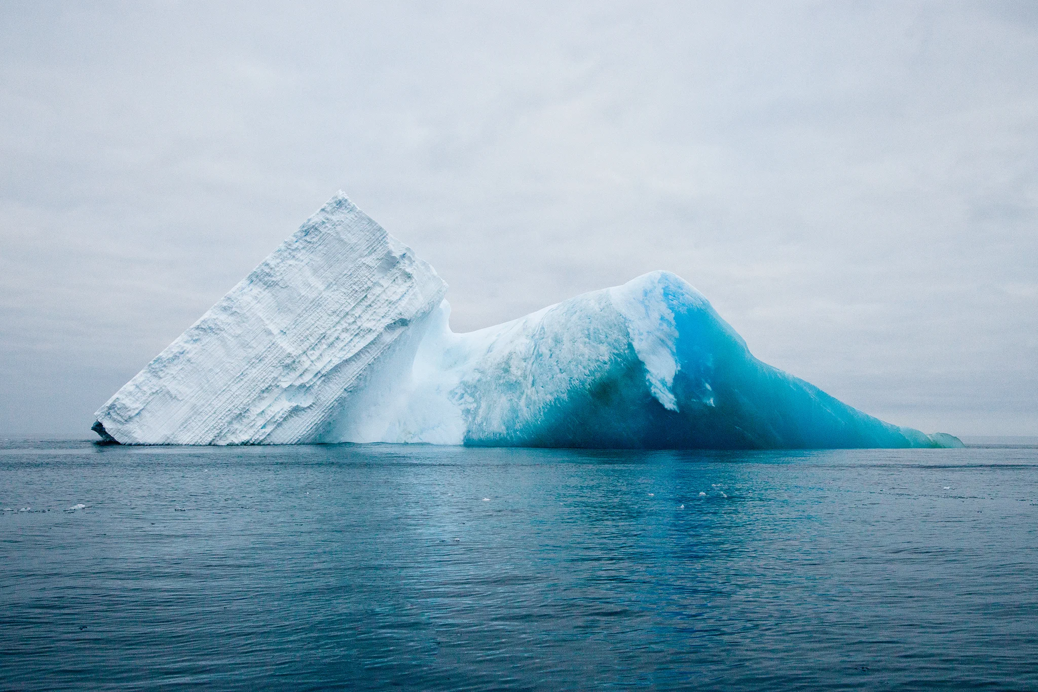 001-TW-Icebergs-130115.jpg