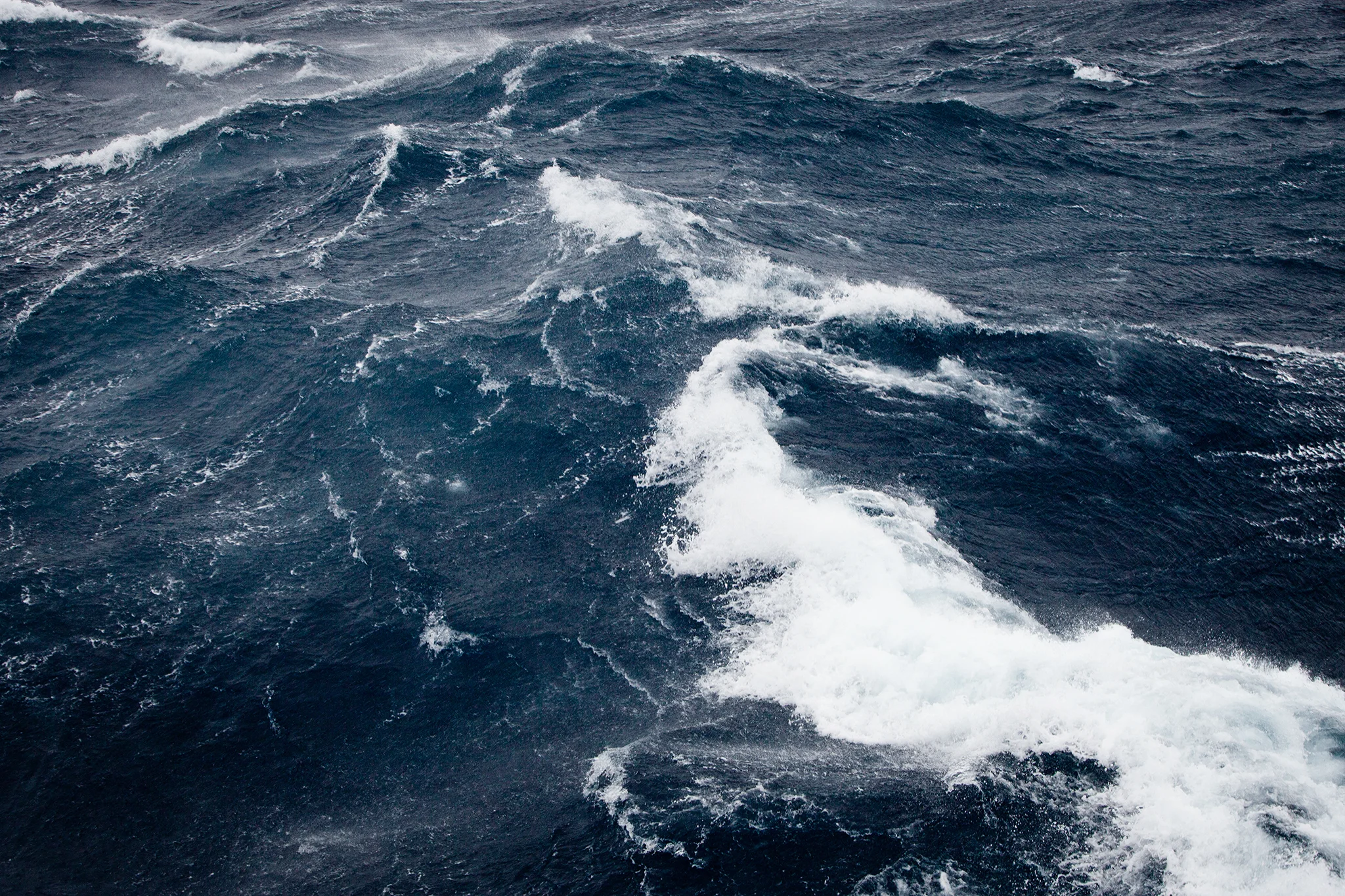 20130127-TJW-Operation-Zere-Tolerance-1254.jpg