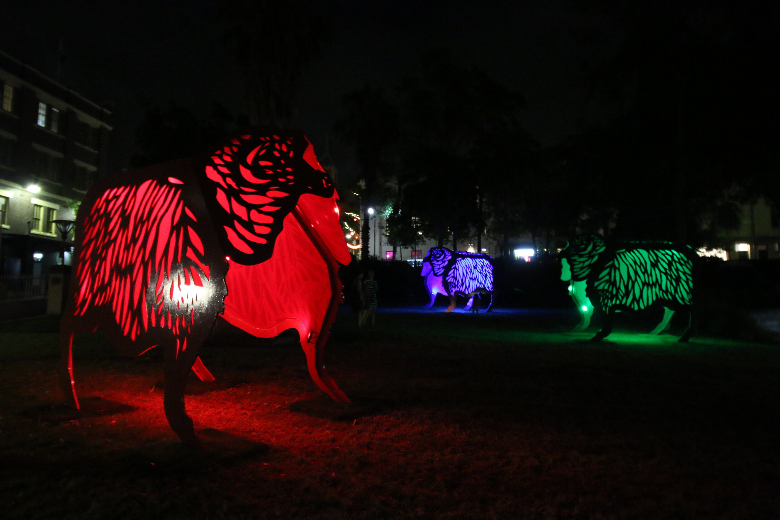 Chinese New Year Lantern