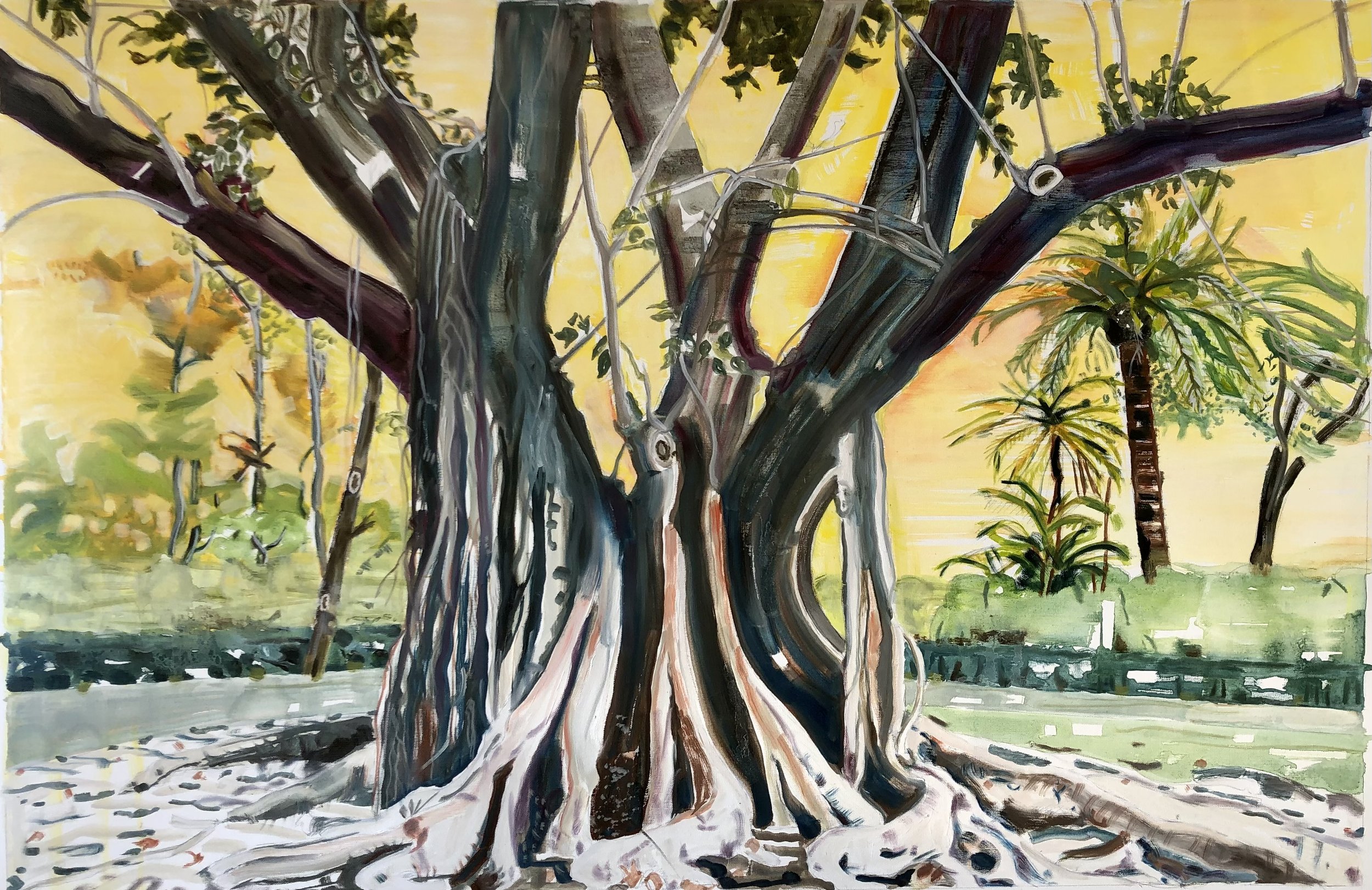 Arbre à caoutchouc, 2022