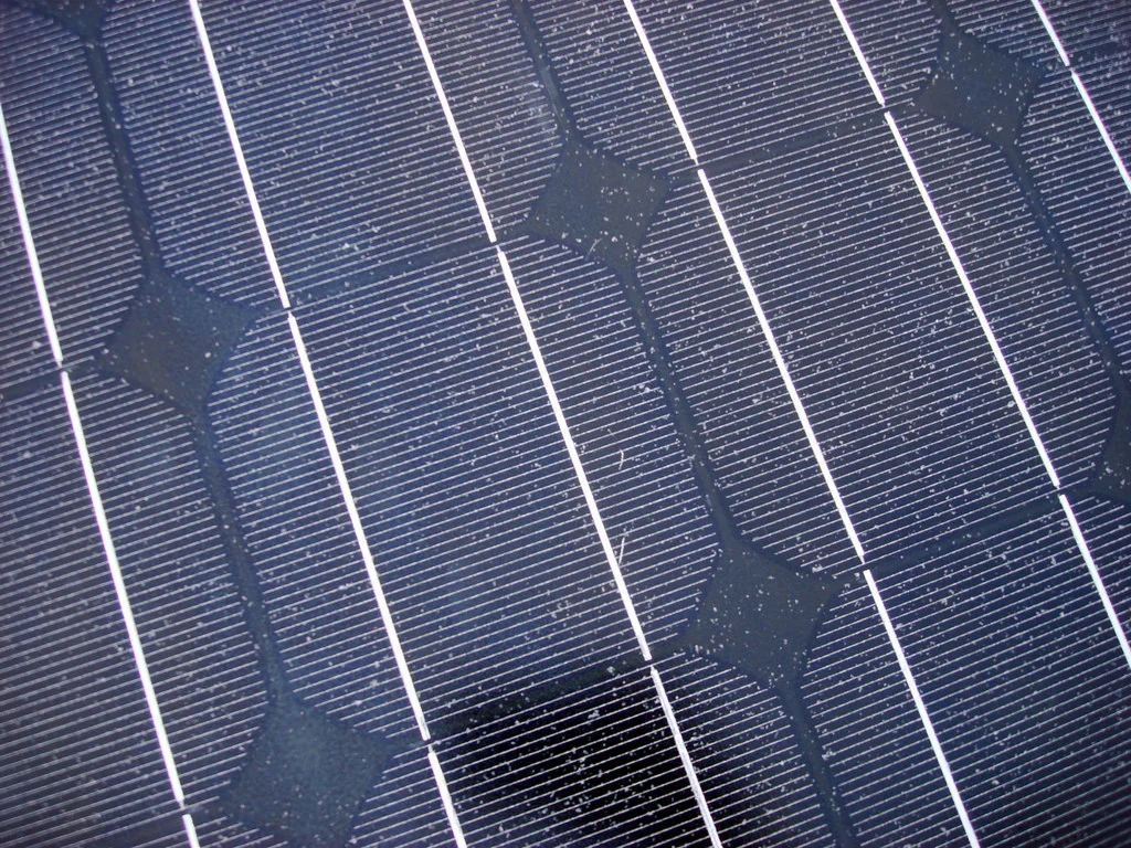 4269451398_c812912418_b.jpg