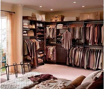 Reach In Closet Organizer.jpg