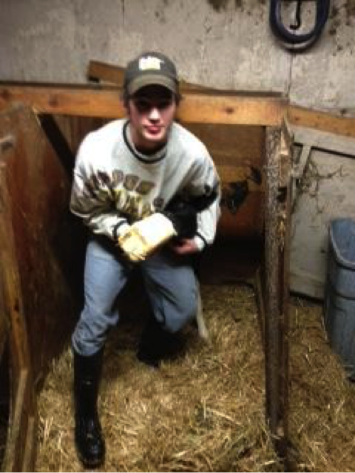 Mitch Janson feeds a newborn calf colostrum in his Dairy Placement Proficiency on Janson Dairy near Wadena. Courtesy photo.