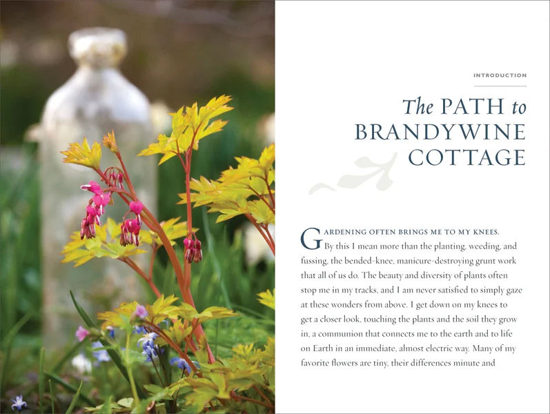 LayerGarden-spreads_16-17.jpg