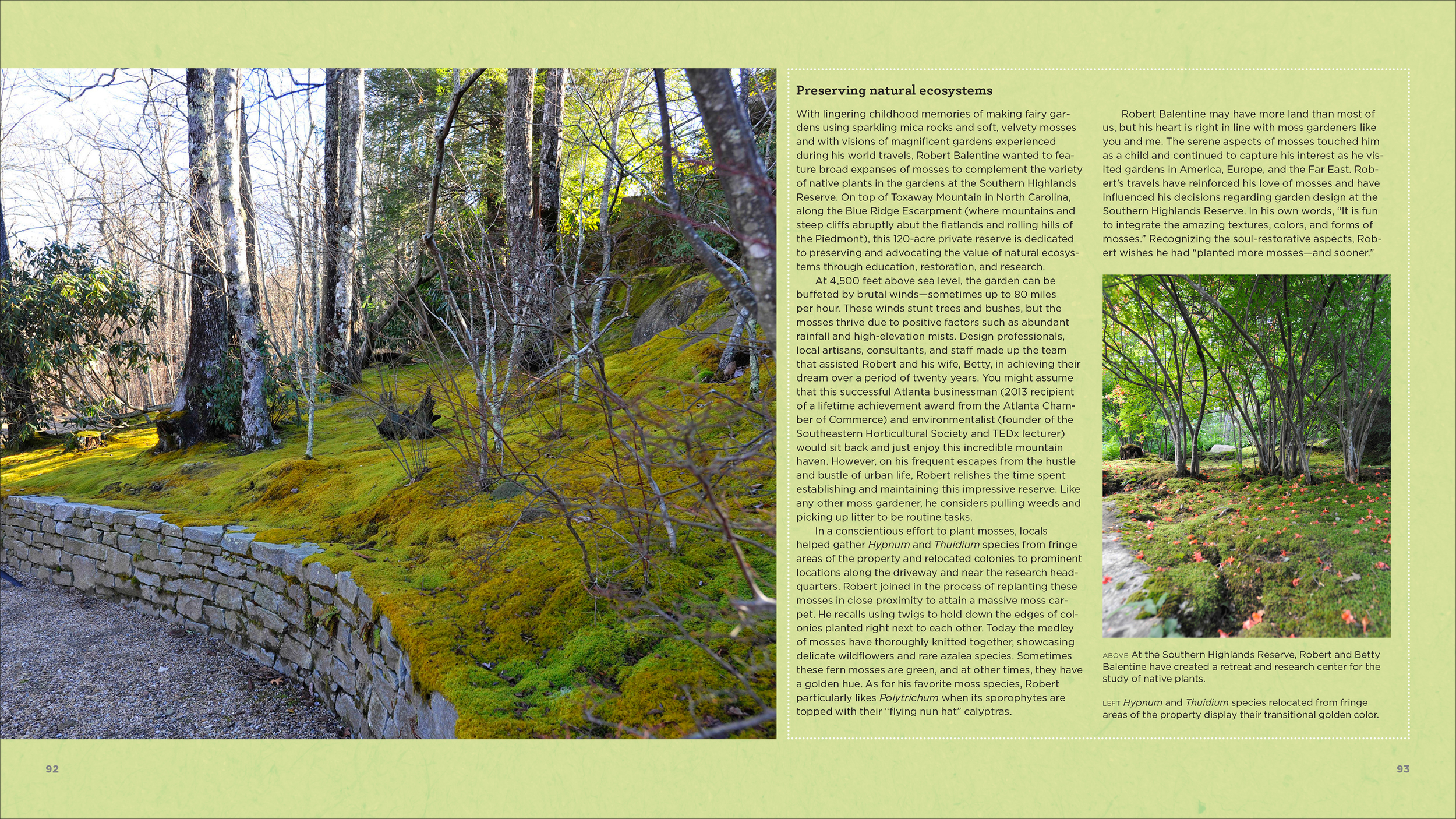 MagicMoss-flat-2.jpg