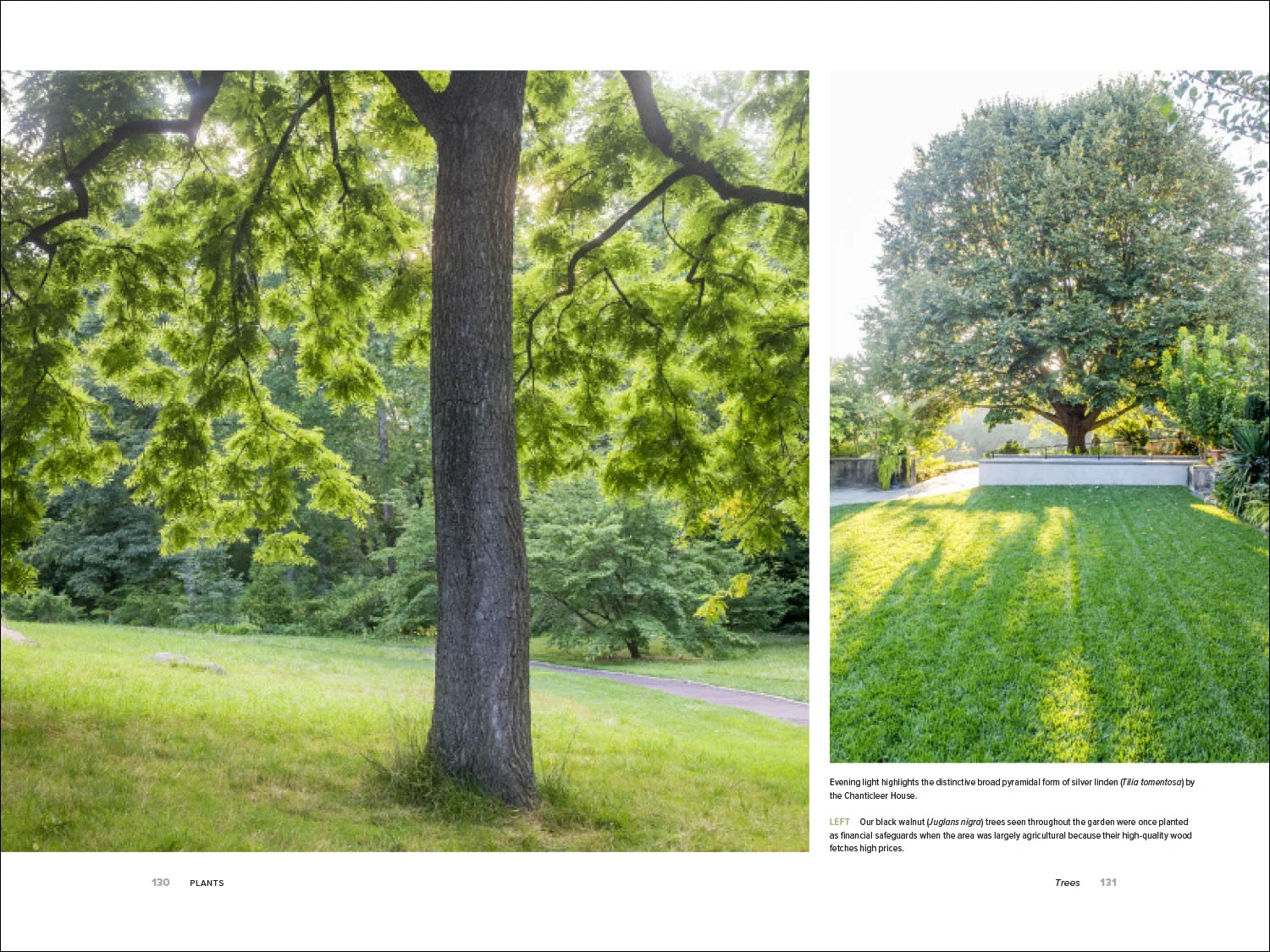 ArtGar-photos2.jpg