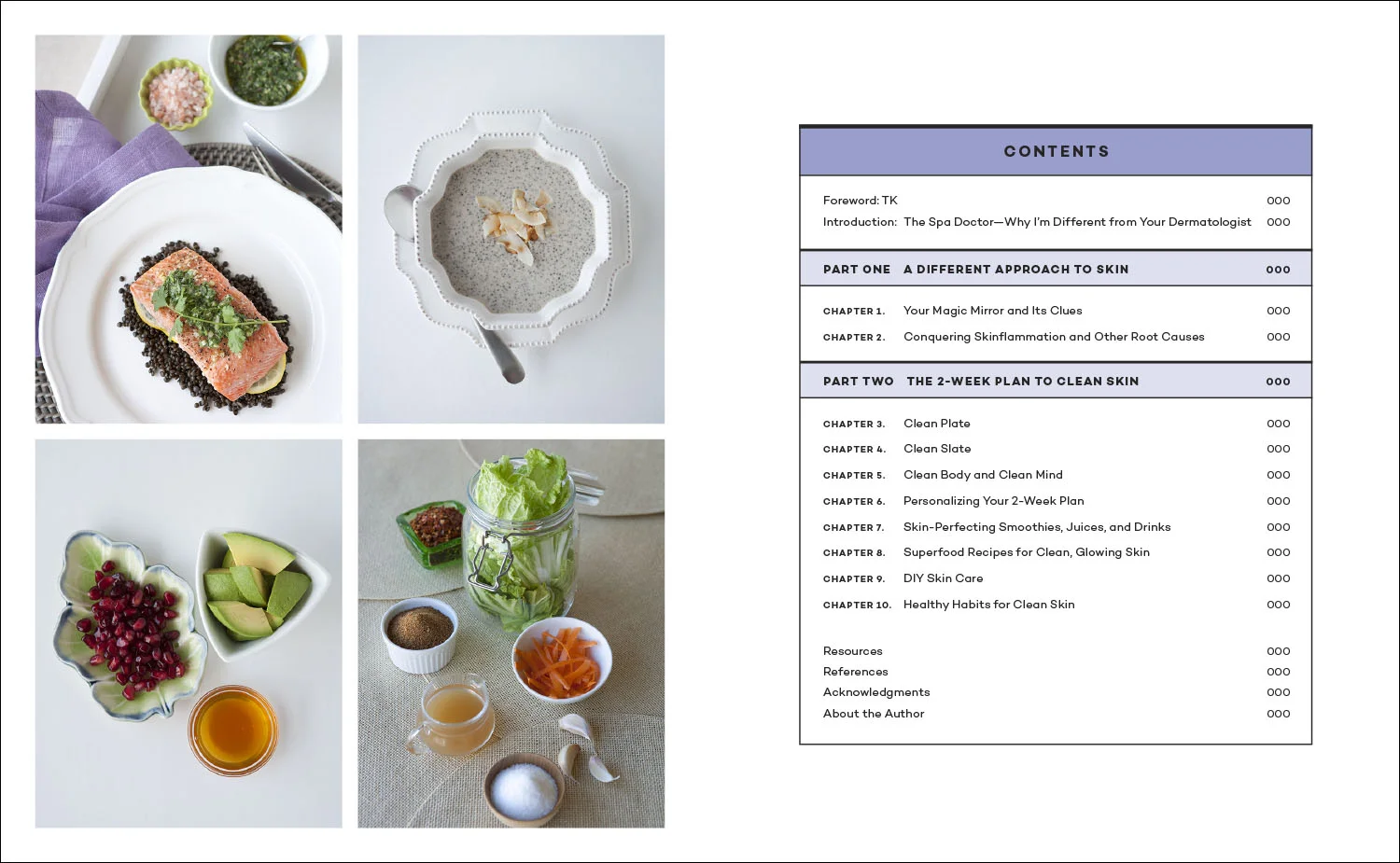 CleanSkin-toc.jpg