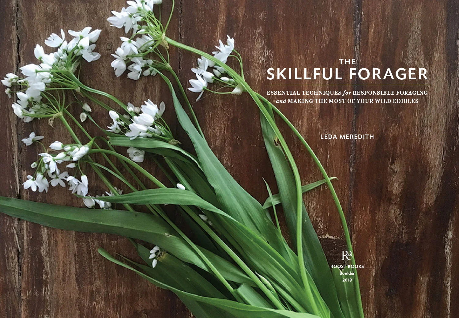 SkillfulForager_Website-1.jpg