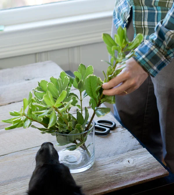 Chester helping with the floral arrangement for our styled shoot!