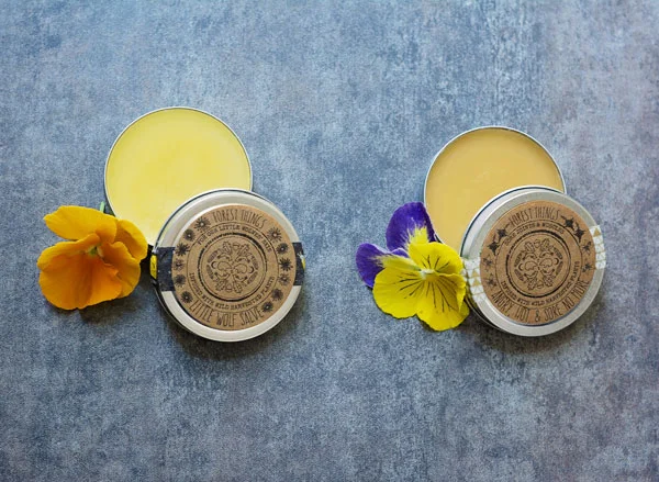 Natural and Foraged Muscle & Joint Salve for Humans; Dog Paw Salve for Dogs - handmade by Forest Things