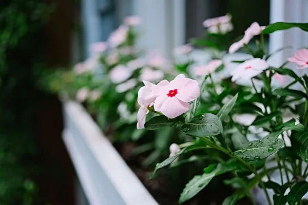Even though the Fujifilm X-M1 is small, you can still achieve great results!