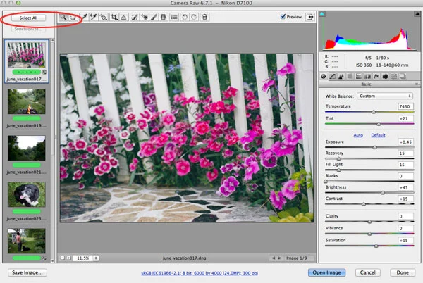 How I Edit and Curate My Photos in Adobe Bridge