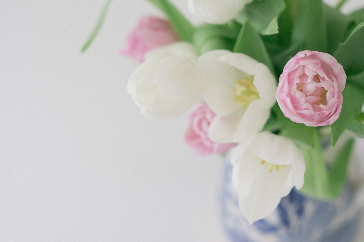 pink-white-tulips-1-ss.jpg