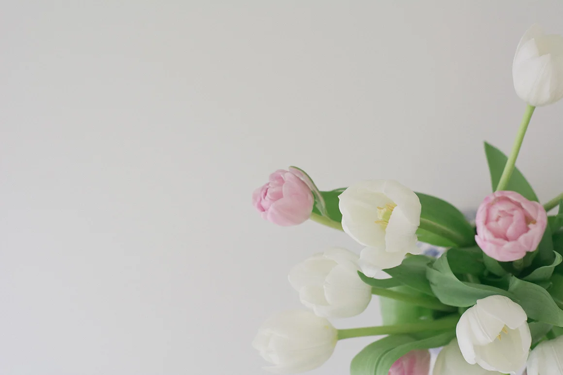 pink-white-tulips-2-ss.jpg