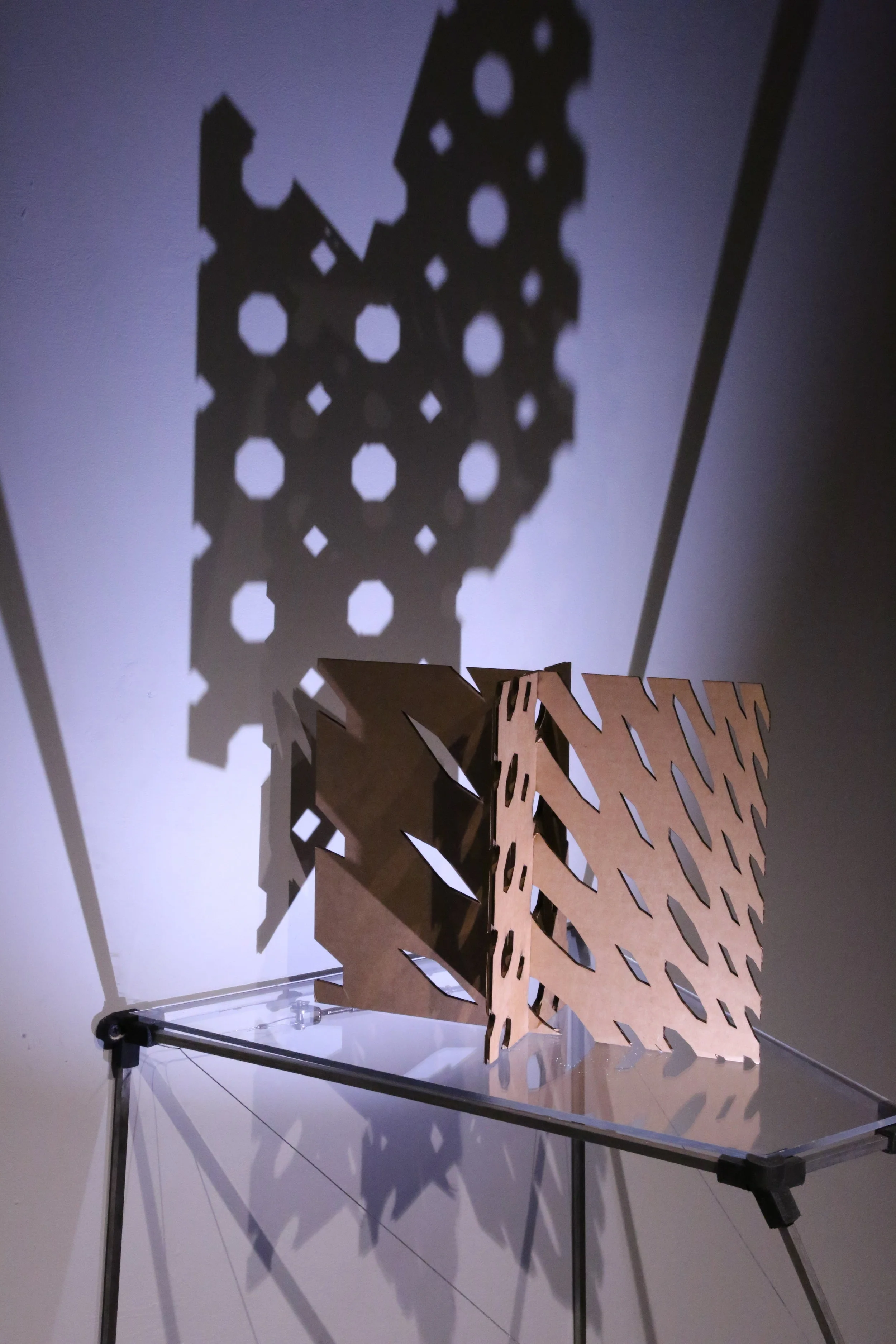 Polygons with Square and Octagon Grid