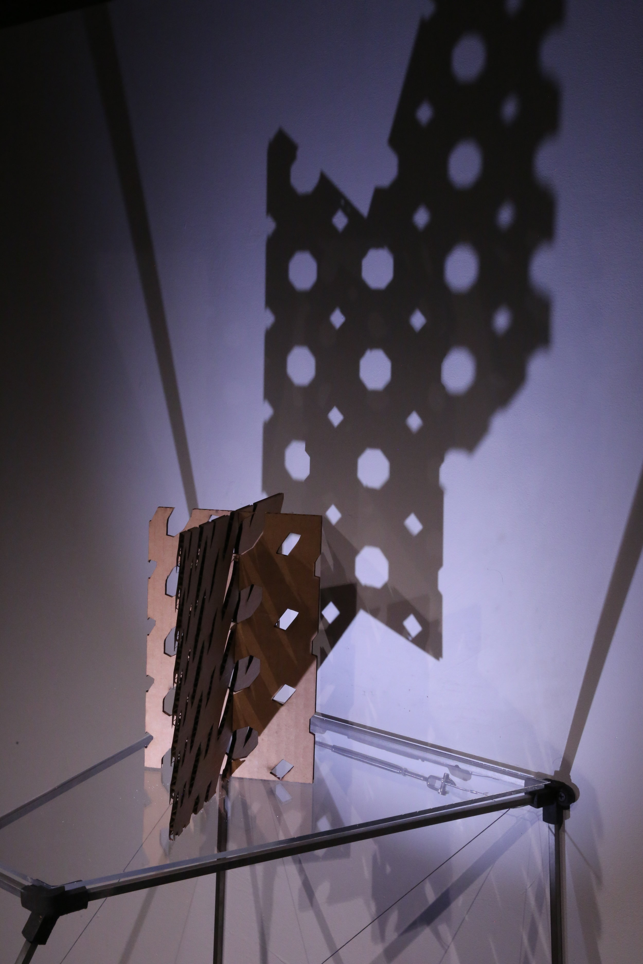 Polygons with Square and Octagon Grid