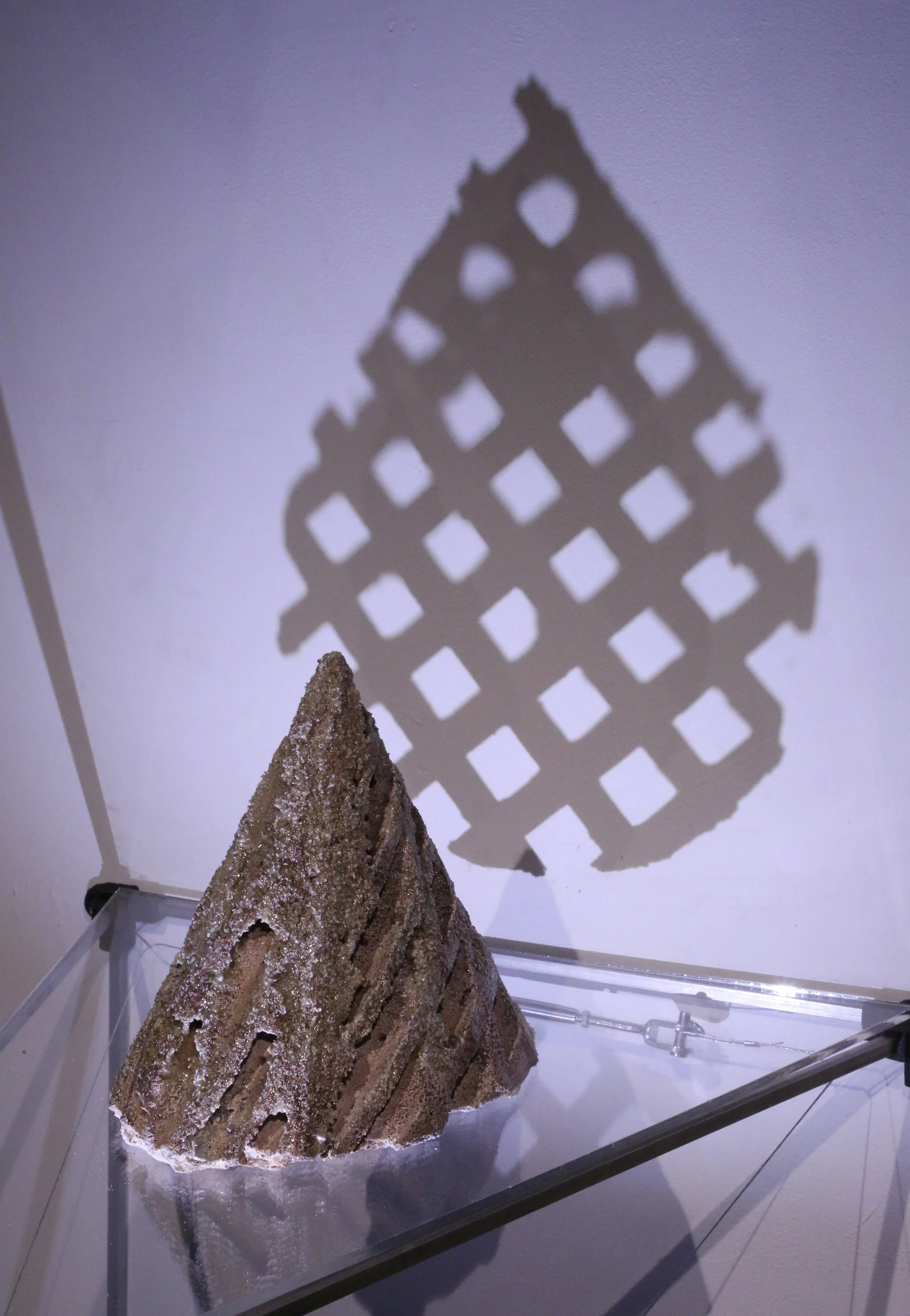 Oval Cone with Square Grid