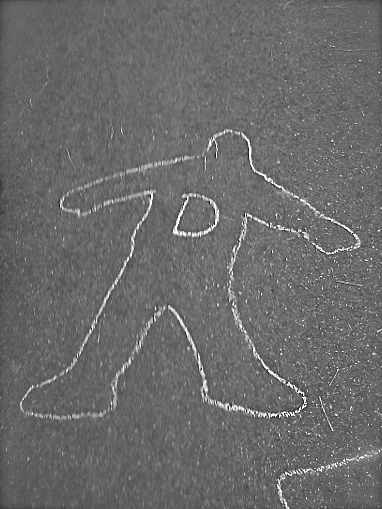 IMG293.jpg.scaled500 - Version 2.jpg