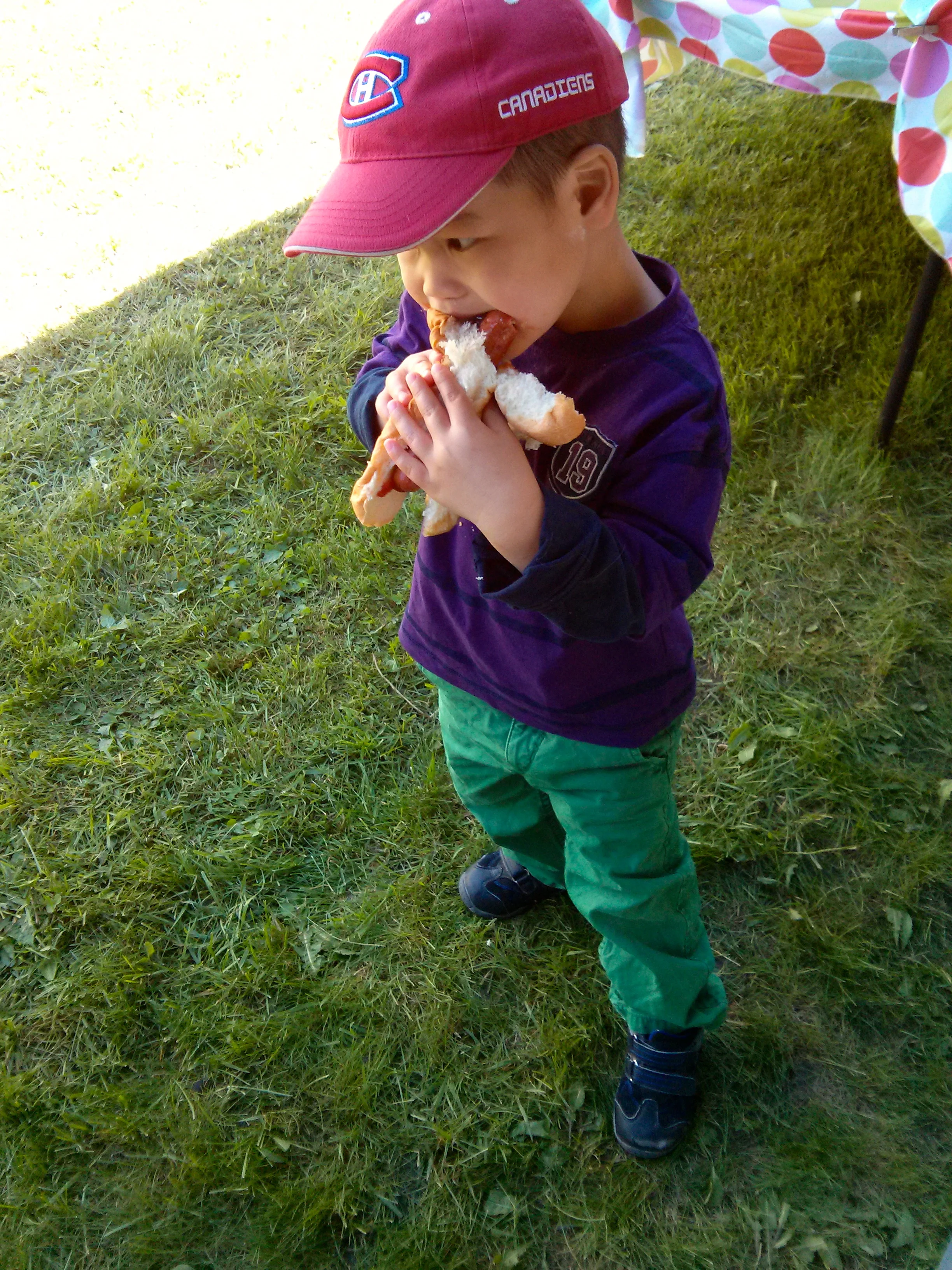 2013-06-09 12.16.26.jpg