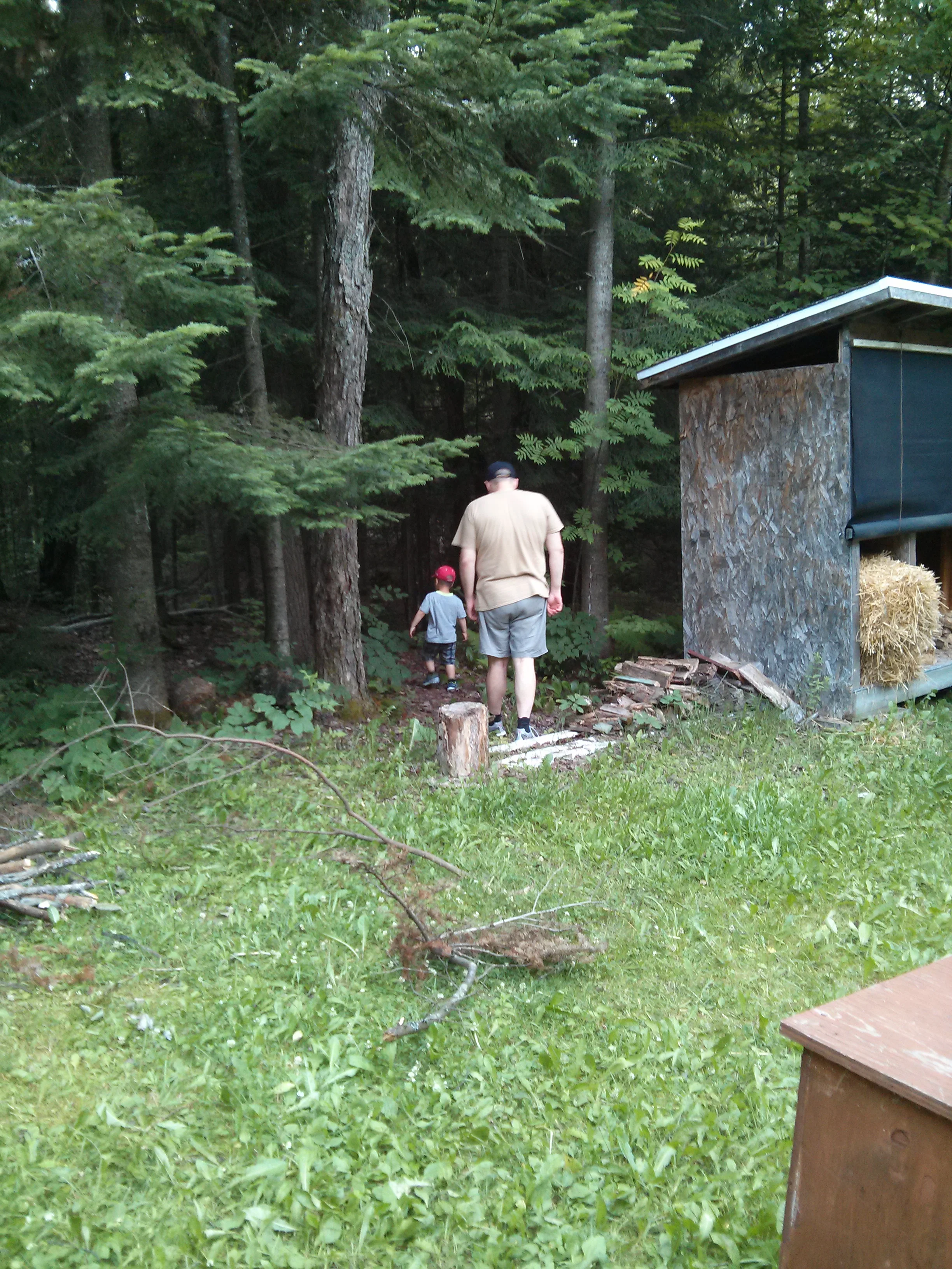 IMG_20130705_191255.jpg