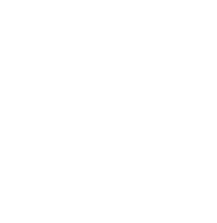 Smoke n' Guns